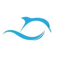 深圳圖像處理軟件開發(fā) 創(chuàng)新技術(shù)與市場前景